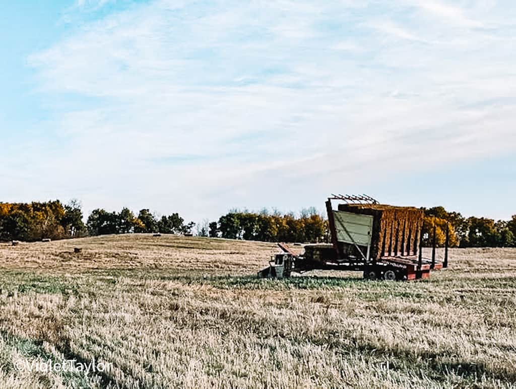 Small square bales loaded on the trailer in the pasture on a Saskatchewan prairie farm in Canada.